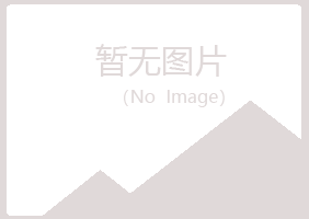 西夏区山柳美容有限公司